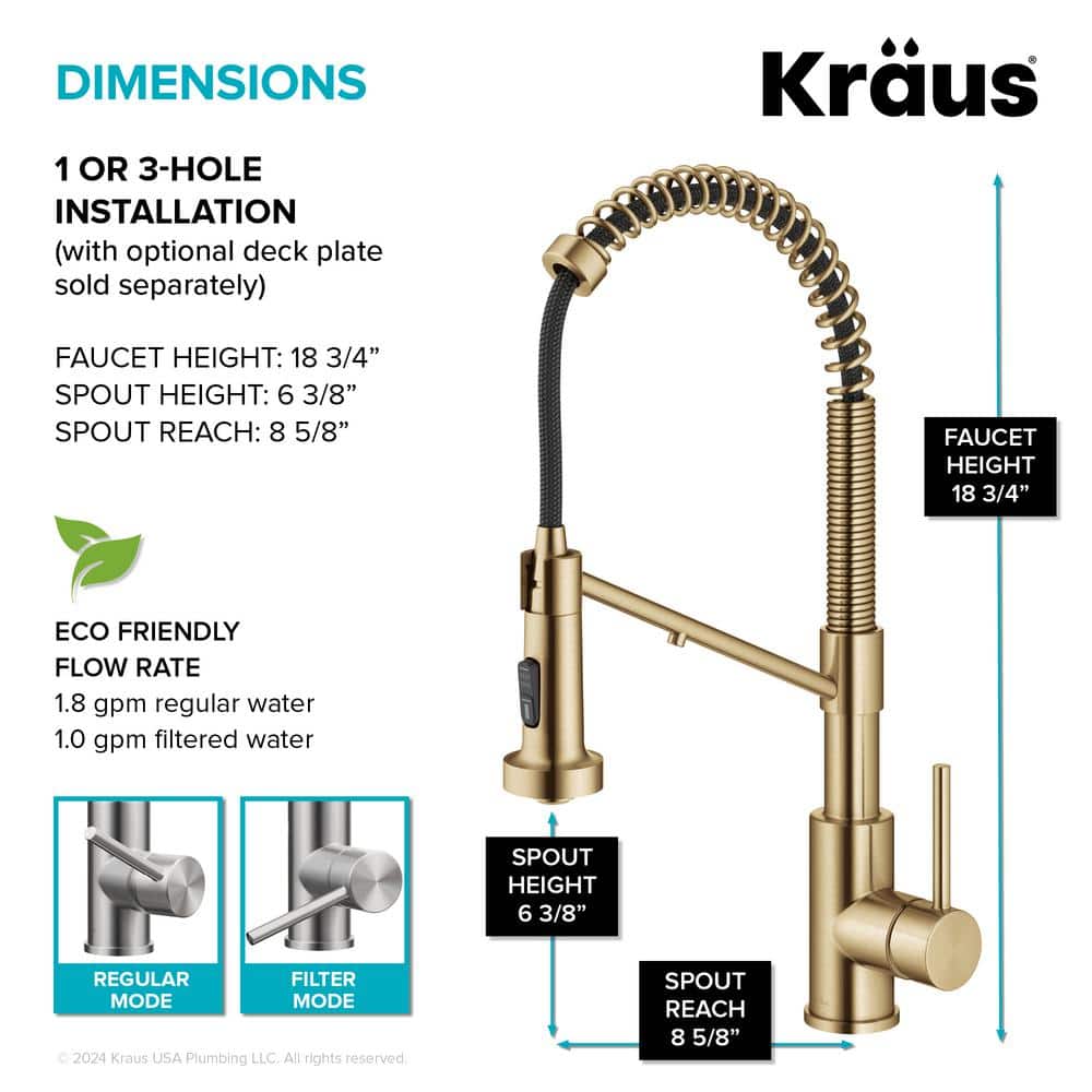 Bolden 2-in-1 Commercial Style Pull-Down Single Handle Water Filter Kitchen Faucet in Brushed Brass