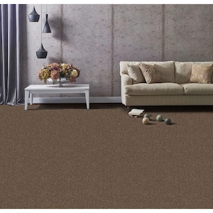 Founder - Inventor - Brown 18 oz. SD Polyester Texture Installed Carpet