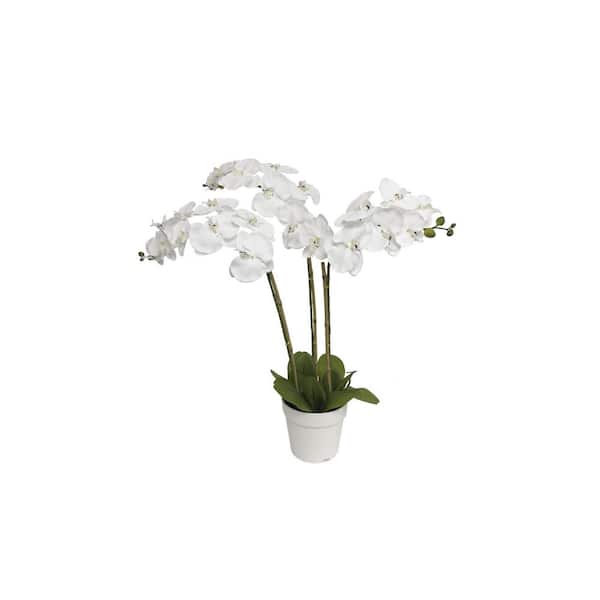 Algreen PRODUCTS 29 in. Artificial Triple Stem Orchid White (7.5 in. x 6.3 in. H Pot; 31.5 in. x 29 in. H)