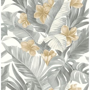 Neutral Paradise Grey Wallpaper Sample