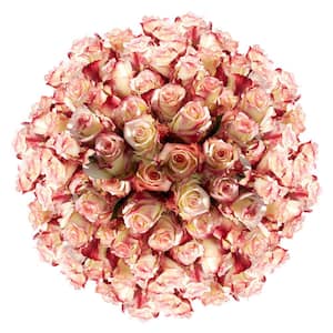 Bouquet '35 red roses' - order and send for 54 $ with same day delivery -  MyGlobalFlowers