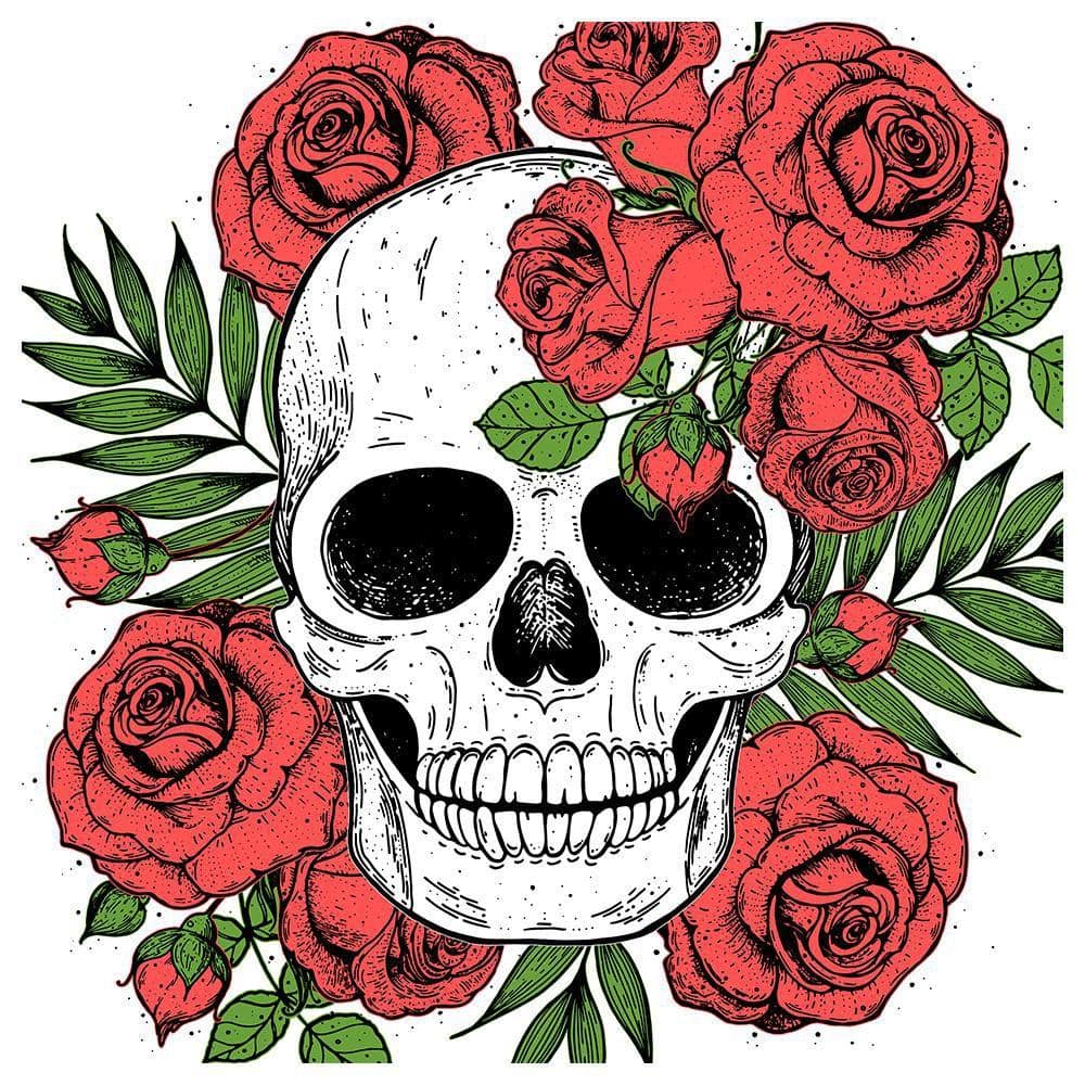 Skull with Roses Around by Unknown 1 Piece Unframed Canvas Drawing Print 30 in. x 30 in. price history on PriceWatchPro