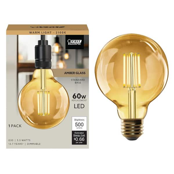 60-Watt Equivalent G30 Dimmable Cage Filament Amber Glass E26 Vintage Edison LED Light Bulb, Warm White
