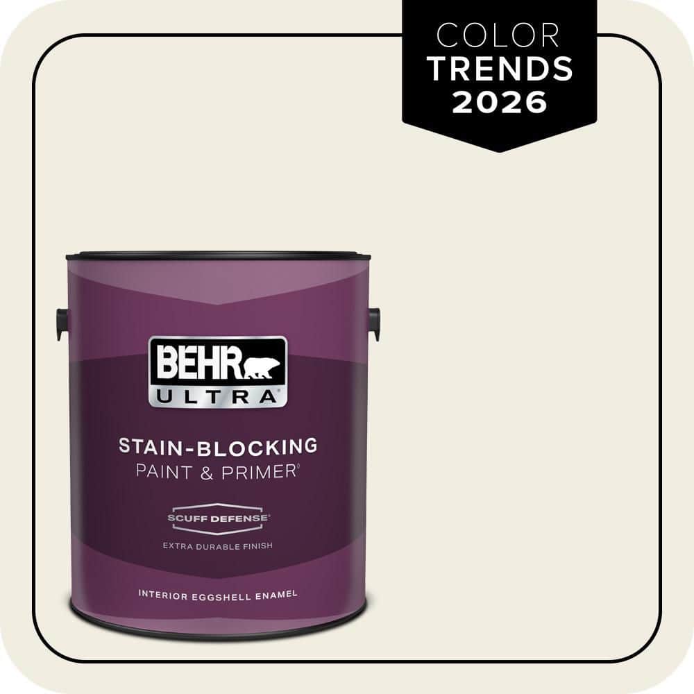 1 gal. Designer Collection #DC-003 Blank Canvas Extra Durable Eggshell Enamel Interior Paint & Primer price history on PriceWatchPro
