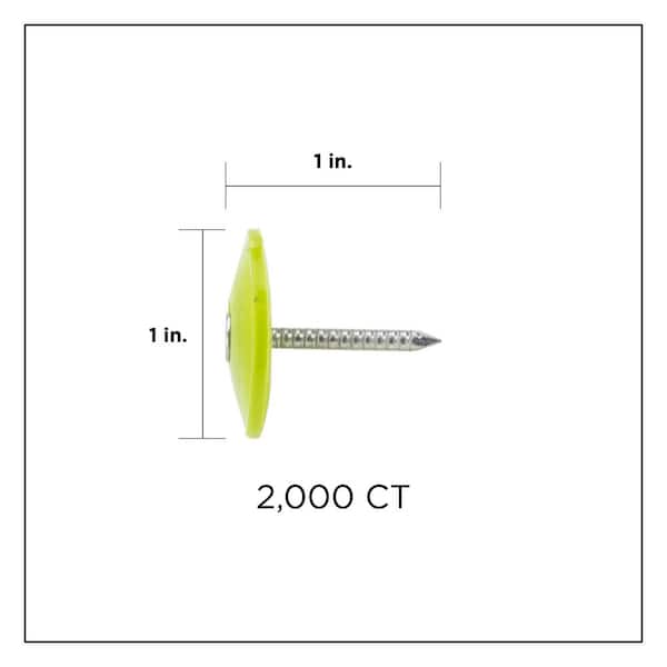 Stinger 1 in. Electro Galvanized Ring Shank Nail with Plastic Cap