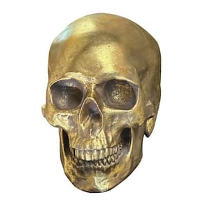 Human Skull in Gilded Gold finish