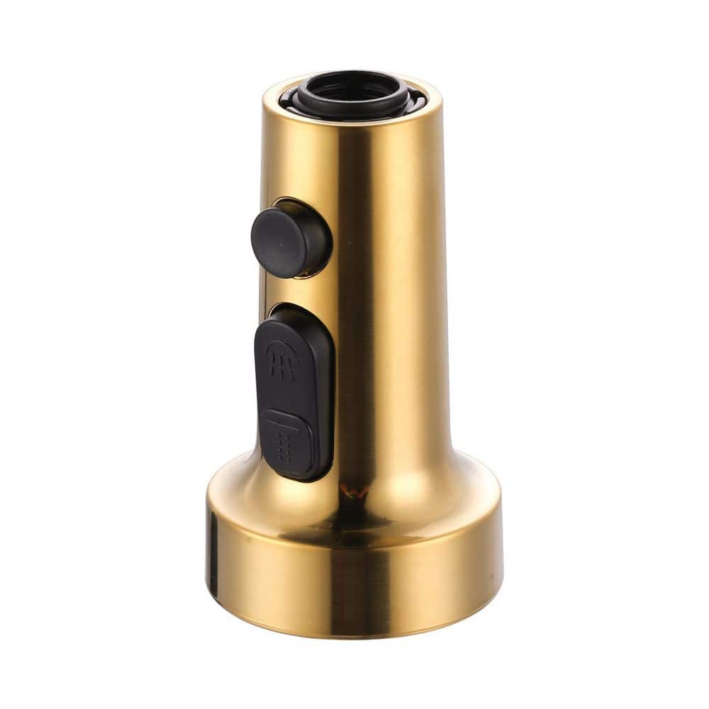 3 Function Kitchen Faucets Head Replacement with 9-Adapters in Brushed Gold price history on PriceWatchPro