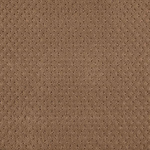 Lilypad - Cigar Leaf Indoor Pattern Brown Carpet