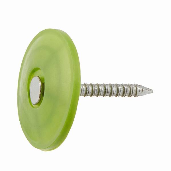 Everbilt 1 in. x 2D ElectroGalvanized Plastic Cap NonCollated Roofing