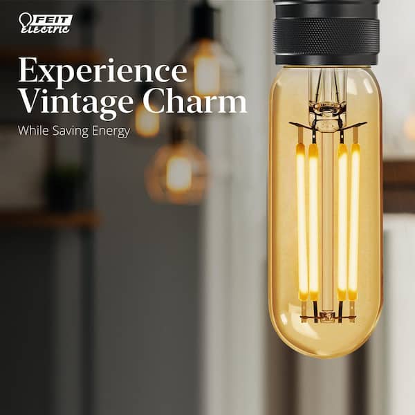40-Watt Equivalent T6 Dimmable Straight Filament Amber Glass E12 Candelabra Vintage LED Light Bulb, Warm White (4-Pack)