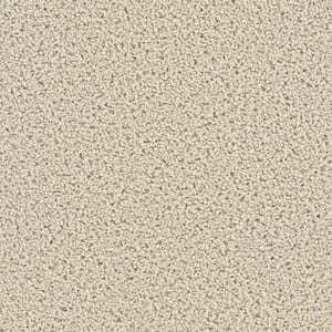 Happy Chance  - Spirited - Beige 30 oz. SD Polyester Texture Installed Carpet