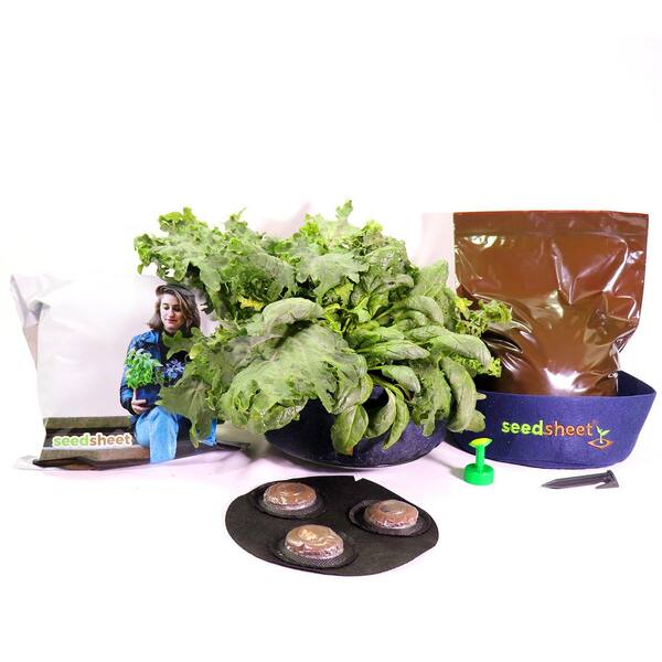 Seedsheet GYO Mini Salads Garden Kit