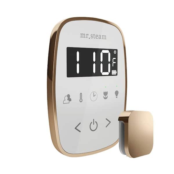 TempoFlex Steam Shower Control and Steamhead in White Polished Gold