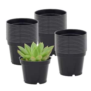 2 in. Black Plastic Standard Grow Pot (100-Pack)