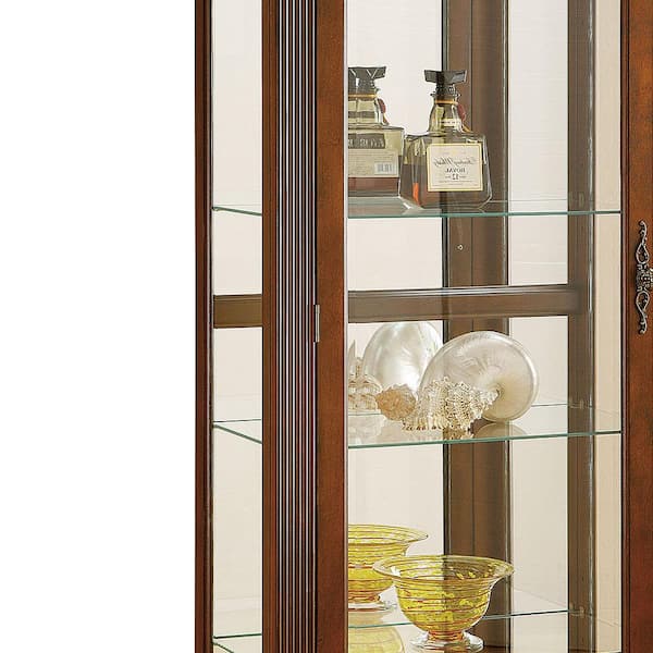 ACME FURNITURE Transitional Gold Finish Wood Curio Cabinet