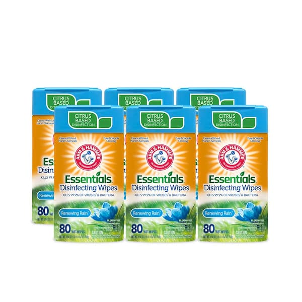 Arm and Hammer 80-Count Renewing Rain Disinfecting Wipes (6-Pack)
