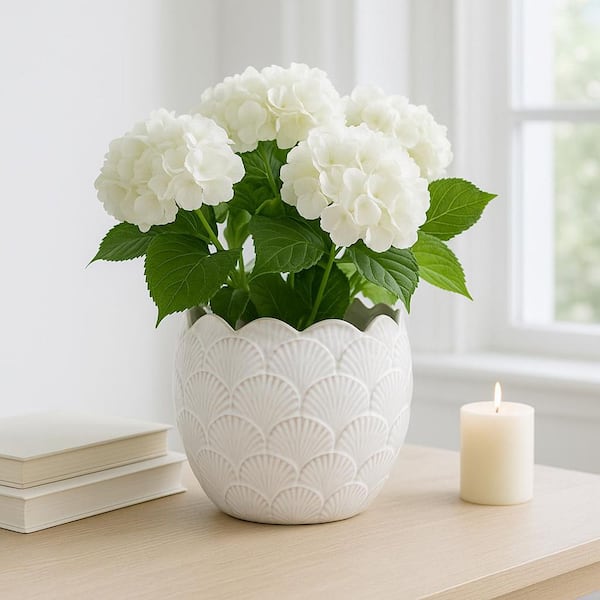 White Ceramic Seashell Decorative Planter (10 in. W x 8 in. H)