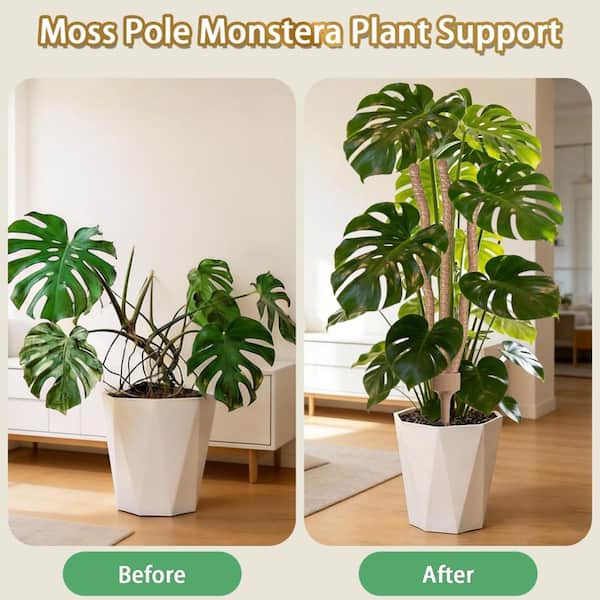 Primehome 3-in-1 Bendable Moss Pole 30IN Natural Coco Coir Plant