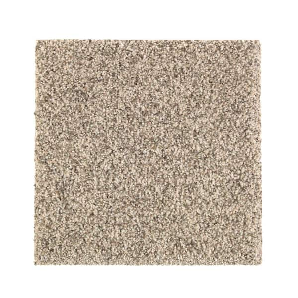 Lifeproof with Petproof Technology 8 in. x 8 in. Texture Carpet Sample - Maisie I -Color Foundation