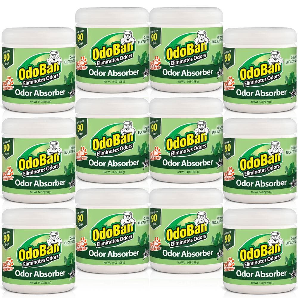 OdoBan 14 oz. Eucalyptus Solid Odor Absorber, Odor Eliminator for Smoke Odor & Musty Smell in