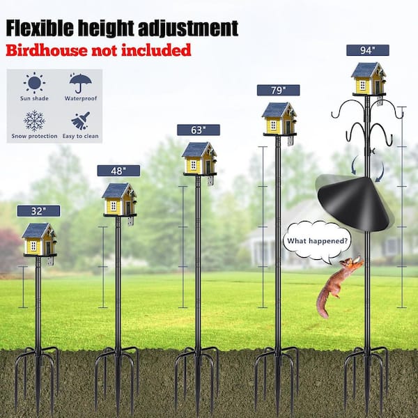 How to Install Bird Feeder Pole: Easy Steps for Perfect Setup