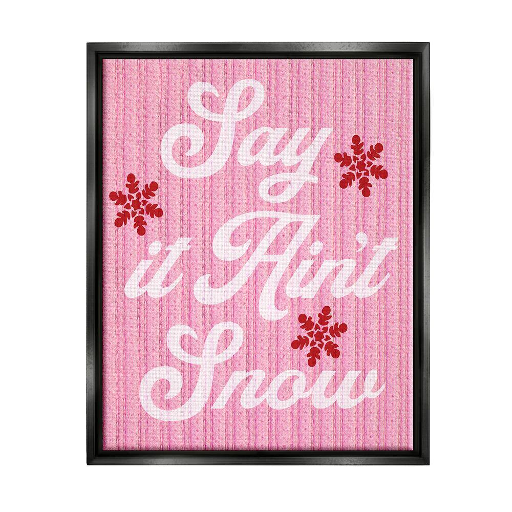 Pink Say It Ain't Snow by Lil' Rue 1 Piece Floater Frame Graphic Print Typography Poster Art Print 31 in. x 25 in. price history on PriceWatchPro