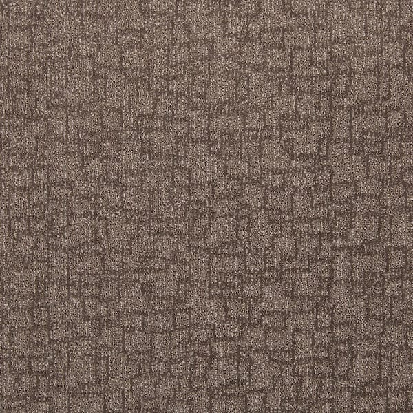 Lifeproof with Petproof Technology Painted Picture - Pictorial-Brown 12 ft. 45 oz. Triexta PET Pattern Installed Carpet
