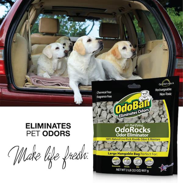 SMELLS BEGONE Odor Eliminator Gel Bead Value Pack - Air Freshener -  Eliminates Odors in Bathrooms, Pet Areas, Boats, RVs & Cars - Made with  Essential