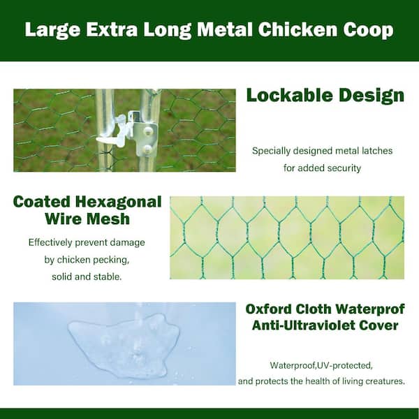 Chicken Fences: Chicken Wire Hardware Cloth Backyard, 46% OFF