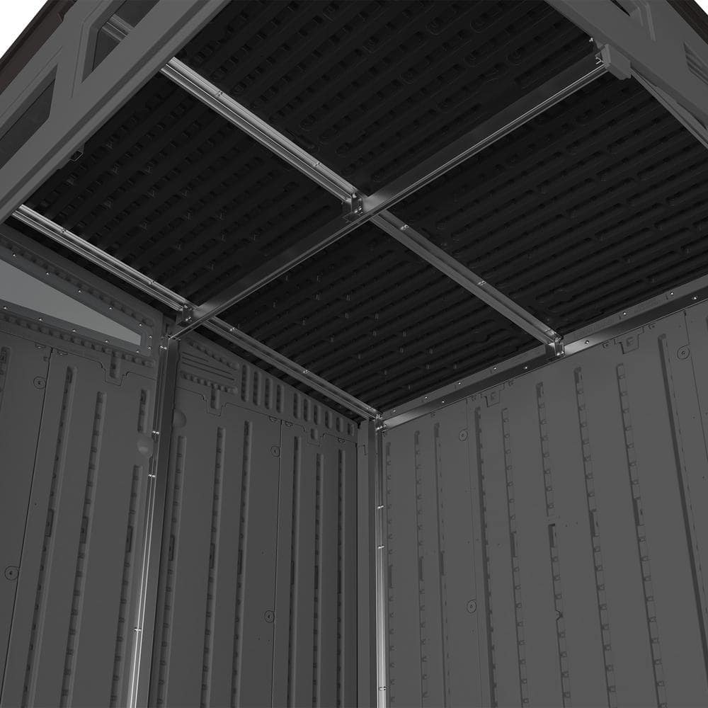 Black Modernist 6x5 ft Storage Shed with Windows