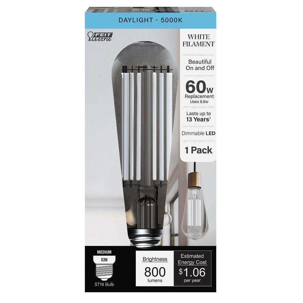 Reviews for Feit Electric 60Watt Equivalent ST19 Dimmable White