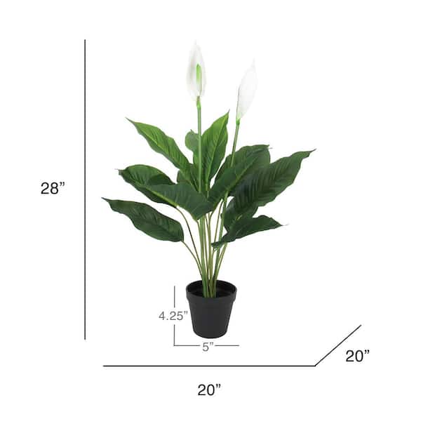 Luxury Spathiphyllum in Ceramic Round Pot