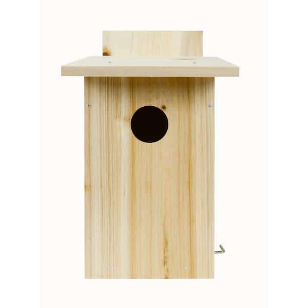 My First Bird House w/Viewing Window