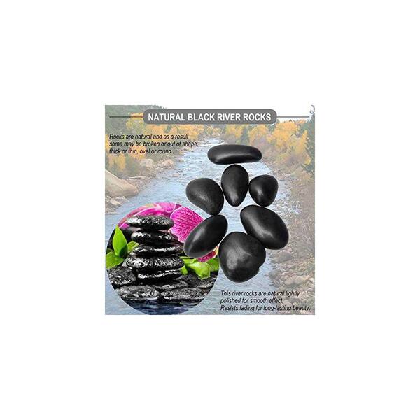 stone  ブラック Sサイズ Justincity 3.2 in. x 2.7 in. x 2.5 in. Round Polished Black