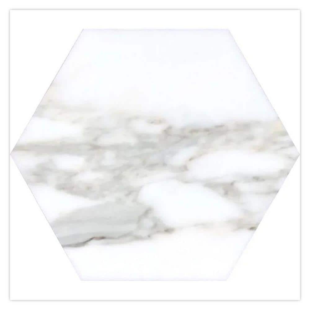 Serena 10 in. x 10 in. Honed White Gray Marble Hexagon Wall and Floor Tile Sample price history on PriceWatchPro