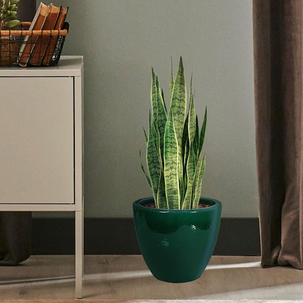 Sunnydaze 14.5 in. Resort High-Fired Glazed Ceramic Planter-Dark