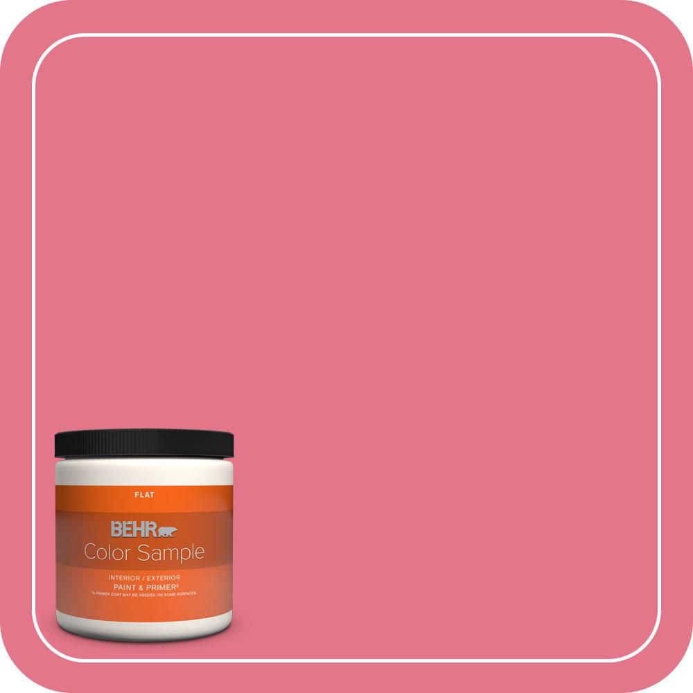 8 oz. #120B-6 Watermelon Pink Flat Interior/Exterior Paint & Primer Color Sample price history on PriceWatchPro