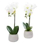 Nearly Natural Indoor Phalaenopsis Orchid Artificial Arrangement