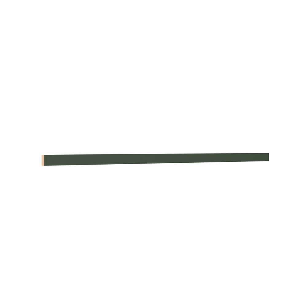 Designer Series 2 in. W x 96 in. H x 0.625 in. D Light Rail Molding in Forest price history on PriceWatchPro