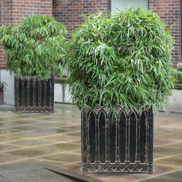 16 in. Square Charcoal Cast Stone Fiberglass Column Planter