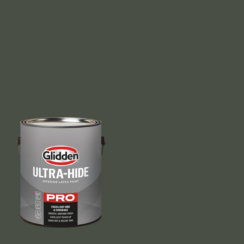 1 gal. PPG1033-7 Charcoal Smoke Eggshell Interior Paint price history on PriceWatchPro