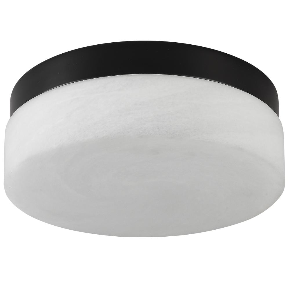 12 in. LED Ceiling Light, 24W Flush Mount Ceiling Light, Round Low Profile Design for Bedroom, Living Room, Black price history on PriceWatchPro