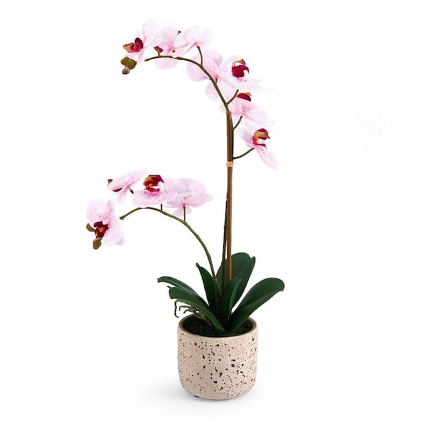 Mikasa Real Touch 21- inch-Pink Spotted- Artificial Phalaenopsis Orchid Flower in Pot