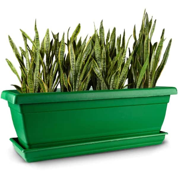 Indoor Windowsill Planter Boxes, 6-Pack 16 in. x 3.8 in. Rectangle Succulent Cactus Window Box w/Tray Modern Plastic Box