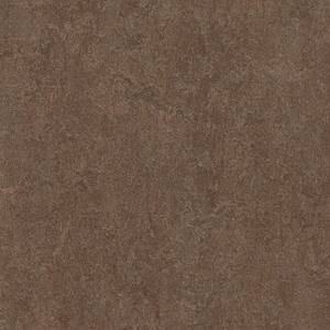 Walnut 9.8 mm Thick x 11.81 in. Wide x 11.81 in. Length Laminate Flooring (6.78 sq. ft./Case)