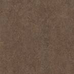 Walnut 9.8 mm Thick x 11.81 in. Wide x 35.43 in. Length Laminate Flooring (20.34 sq. ft./Case)