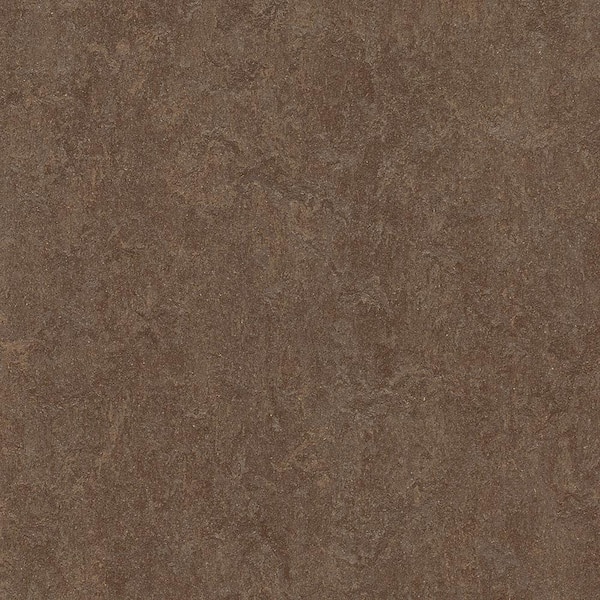 Marmoleum Cinch Loc Seal Walnut 9.8 mm Thick x 11.81 in. Wide X 35.43 in. Length Laminate Floor Tile (20.34 sq. ft/Case)