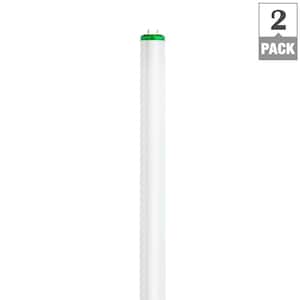 32-Watt 4 ft. T8 Linear Fluorescent Tube Light Bulb ALTO, Cool White (4100K) (2-Pack)