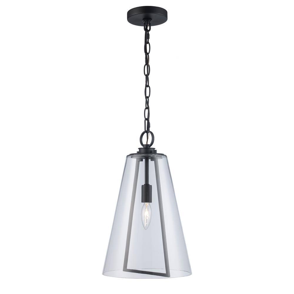 Siobhan Medium Black Metal and Clear Glass Hanging Pendant Light
