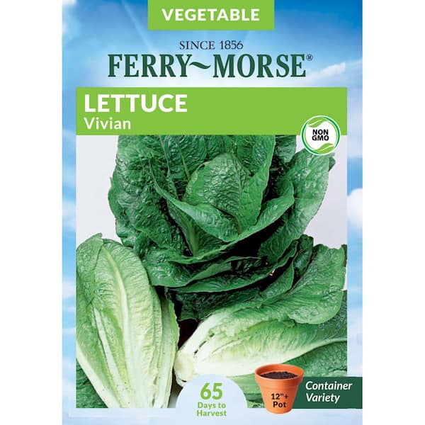 Ferry-Morse Lettuce Vivian Vegetable Seed